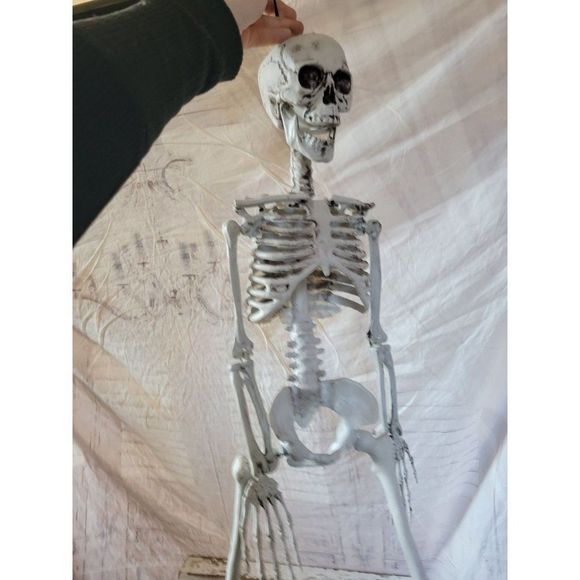 34" jointed skeleton Halloween prop hanging lawn decor home table - Picture 3 of 7